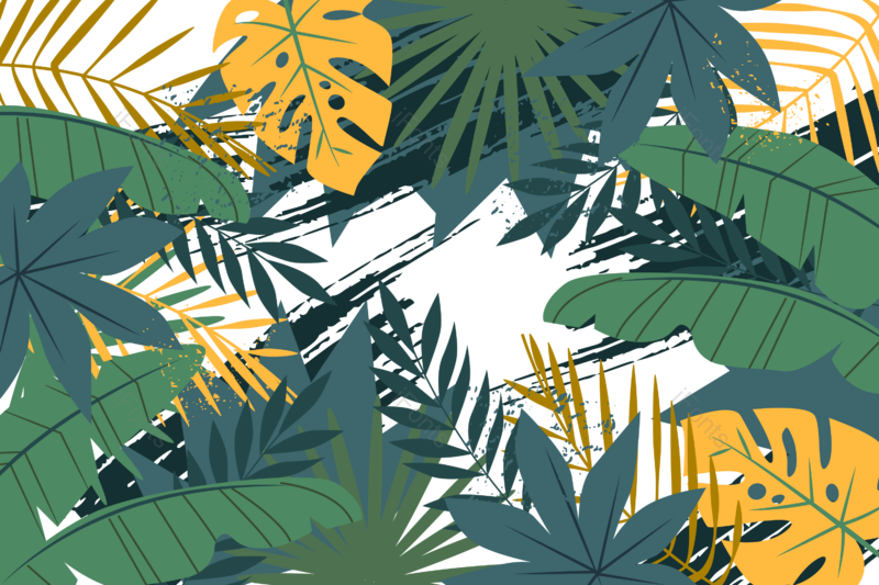 叶子图片,夏天元素,绿叶PNG,花草免抠素材